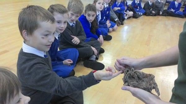 Animal School Visits Manchester