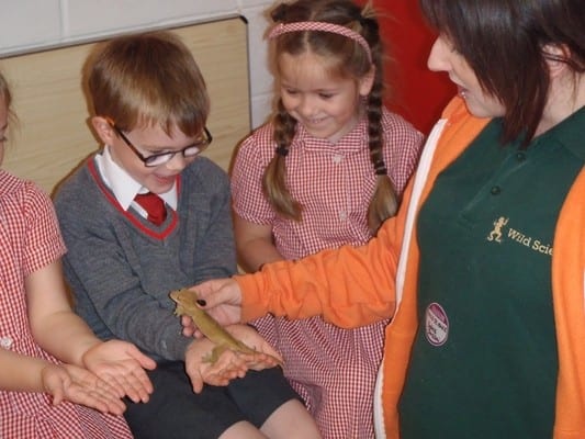 Animal School Visits Doncaster