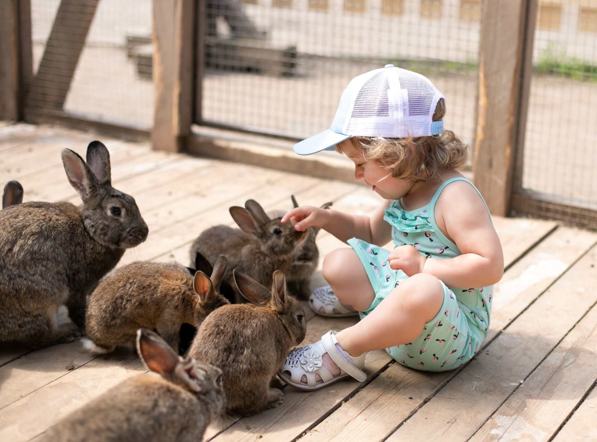 Wildlife Encounters Near Me Wild Science