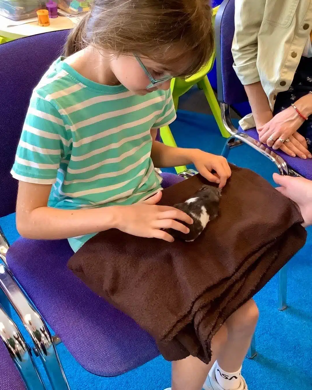 Mobile Petting Zoo Aberdeen