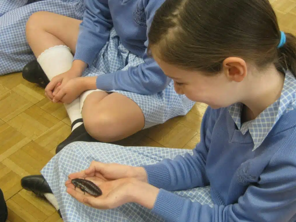 Animal School Visits Glasgow