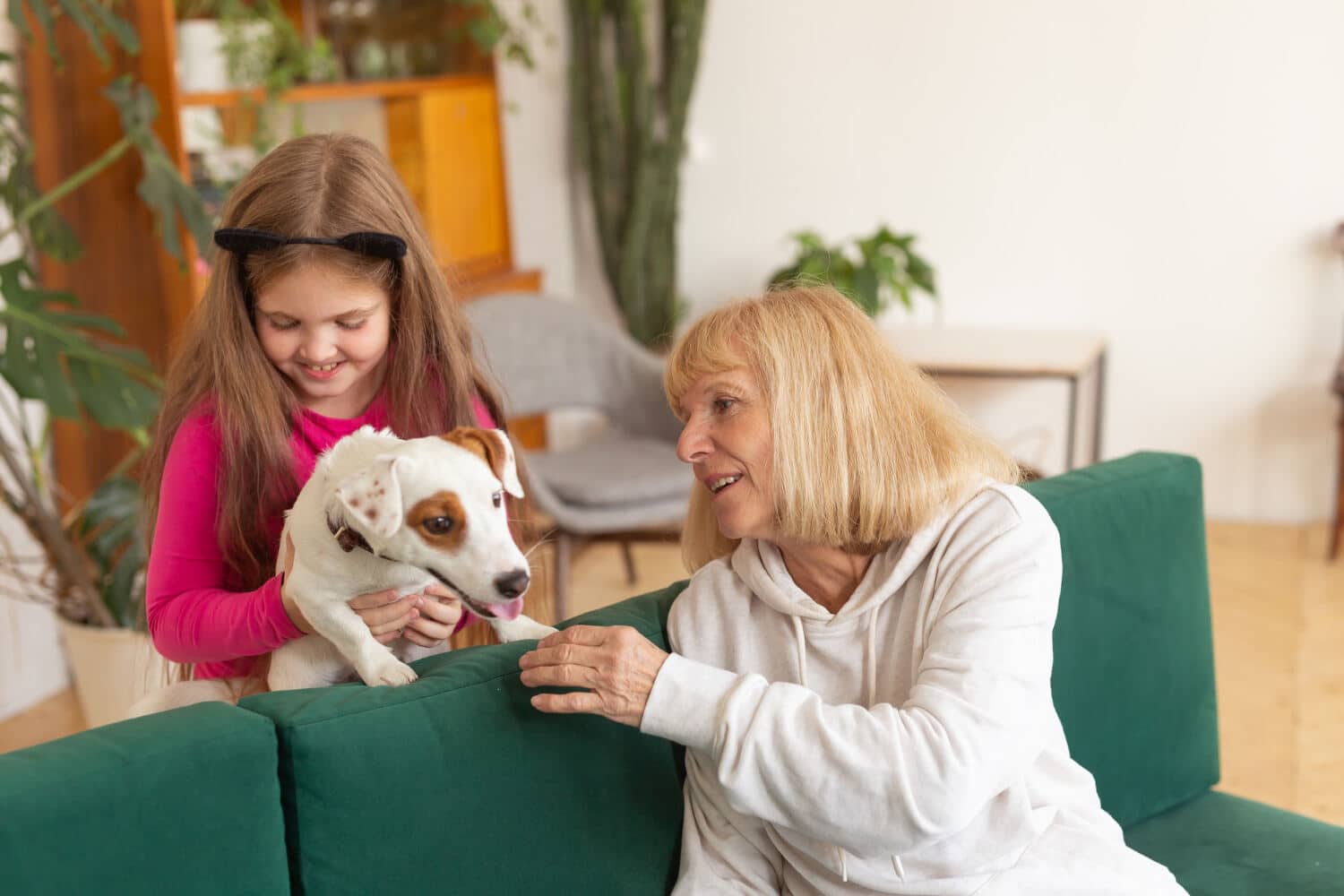 Animal Therapy in Care Homes near me WildSci