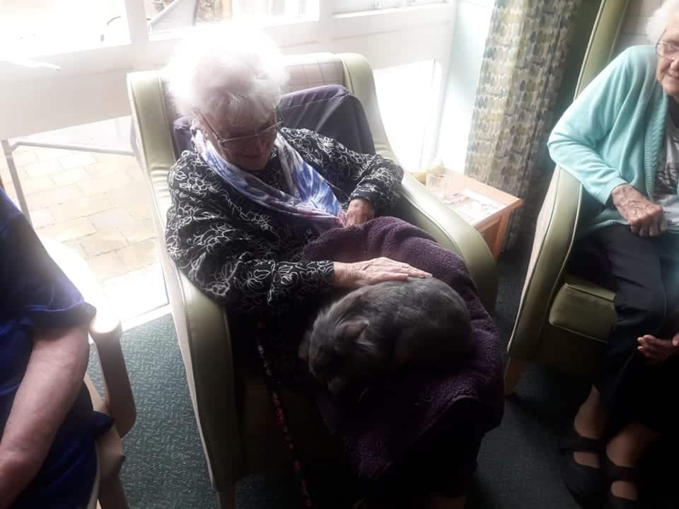 animal-handling-experience-home-wildsci