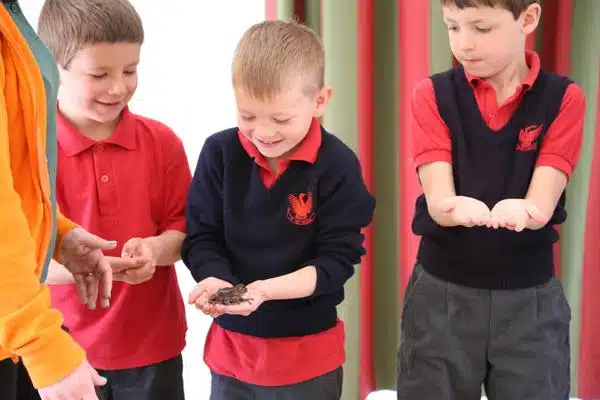 Best Animal Visits to Schools Near Me