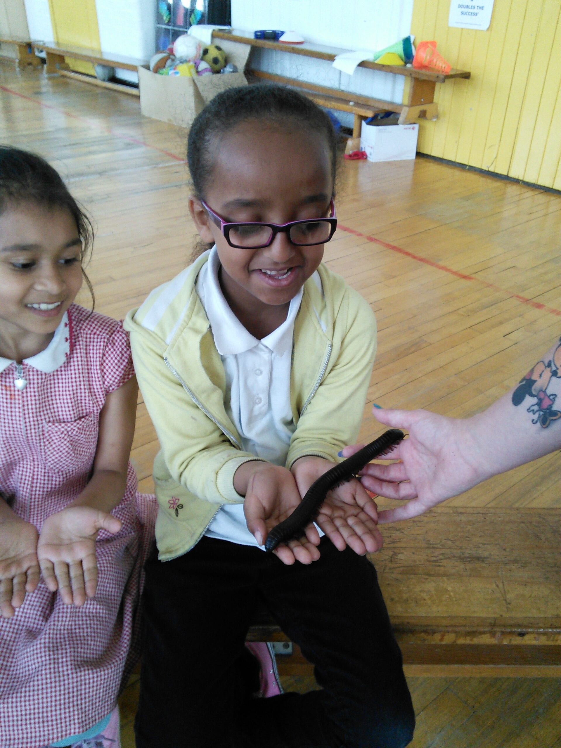 Best interactive animal experiences WildSci