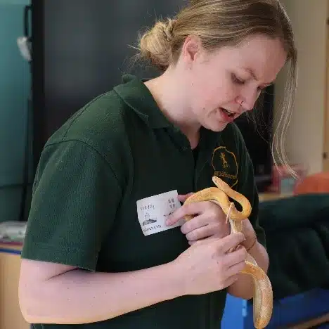 Workshops with Harriet