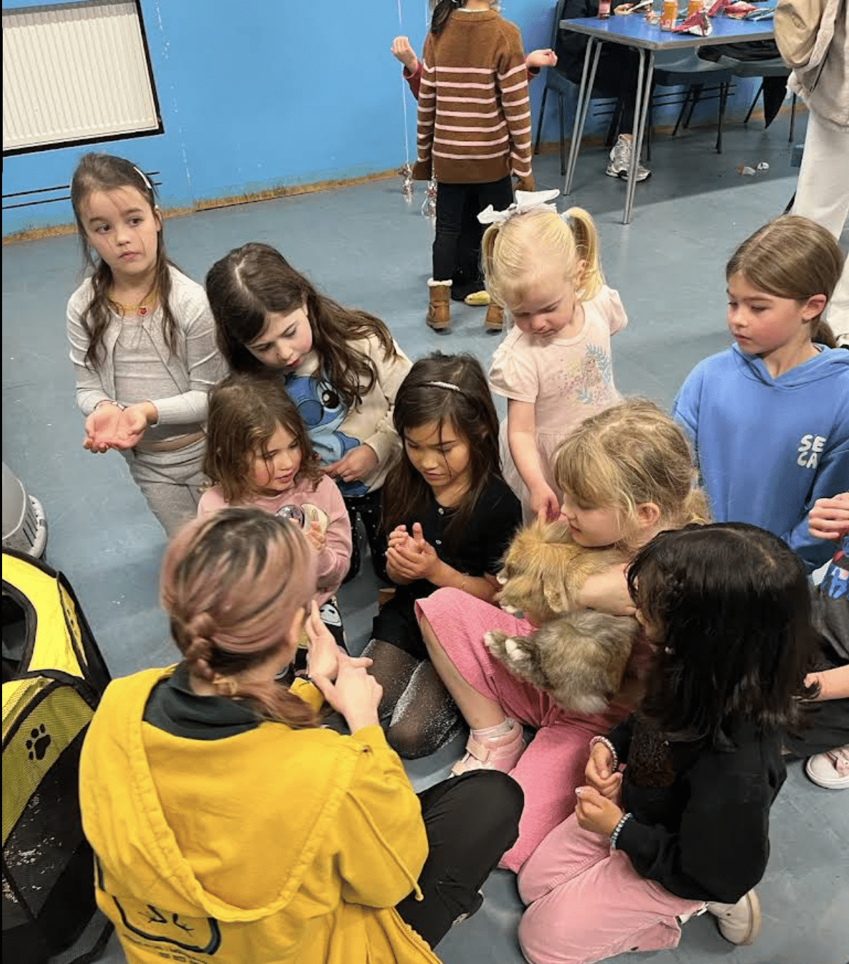 Would highly recommend.