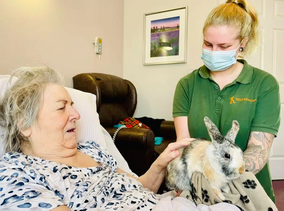Care and Nursing Homes