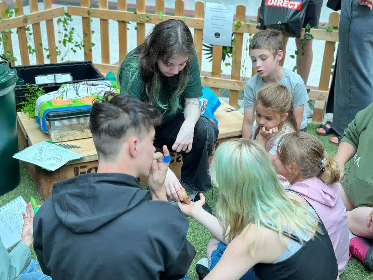 School Fairs & Seasonal Celebrations