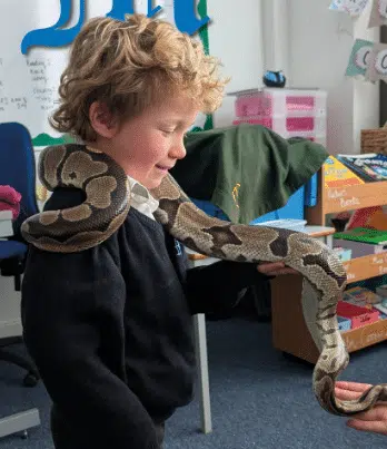 Mobile Petting Zoo Near Me